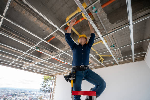Best Plumbing Inspection Services  in Pine Bluff, AR